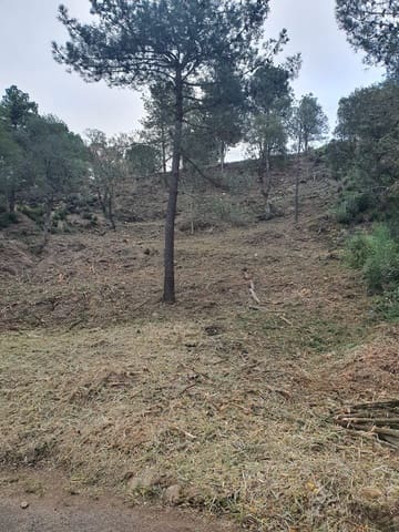 Byggetomt til salgs i Urbanitzacions del Nord, Lloret de Mar - € 43 000 (Ref: 9715243)