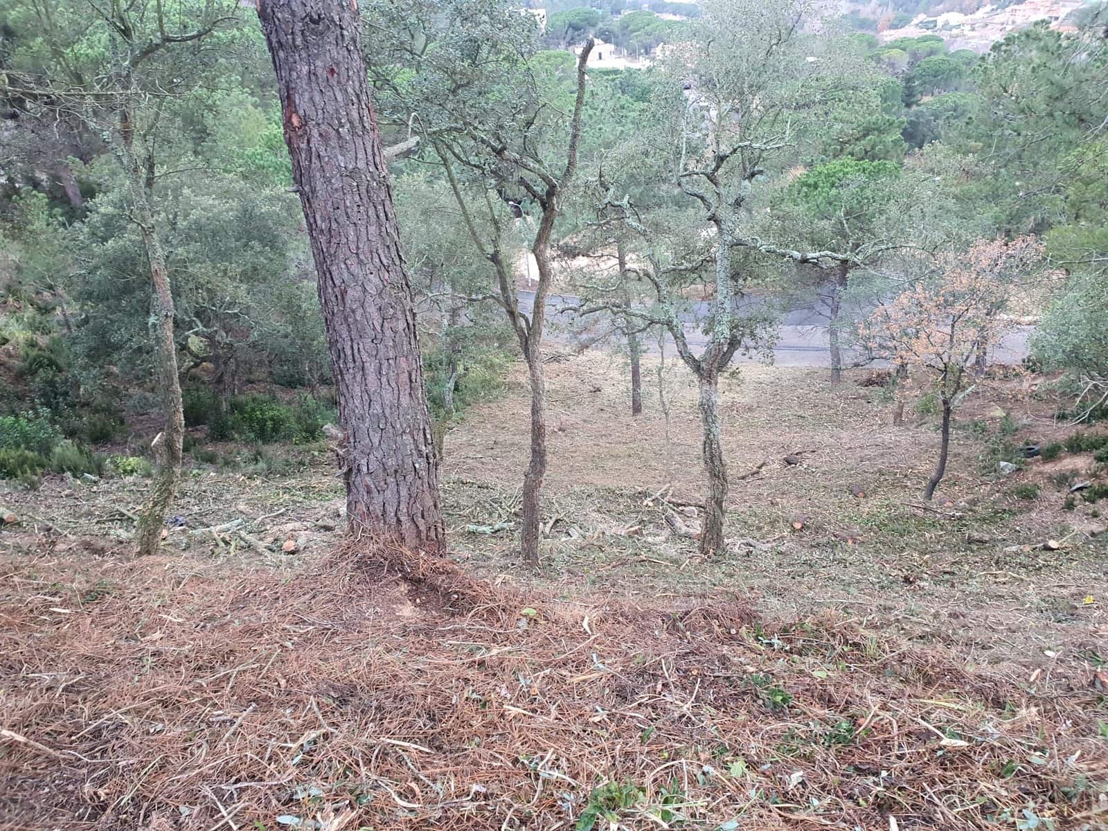 Byggetomt til salgs i Lloret de Mar - € 43 000 (Ref: 9715243)