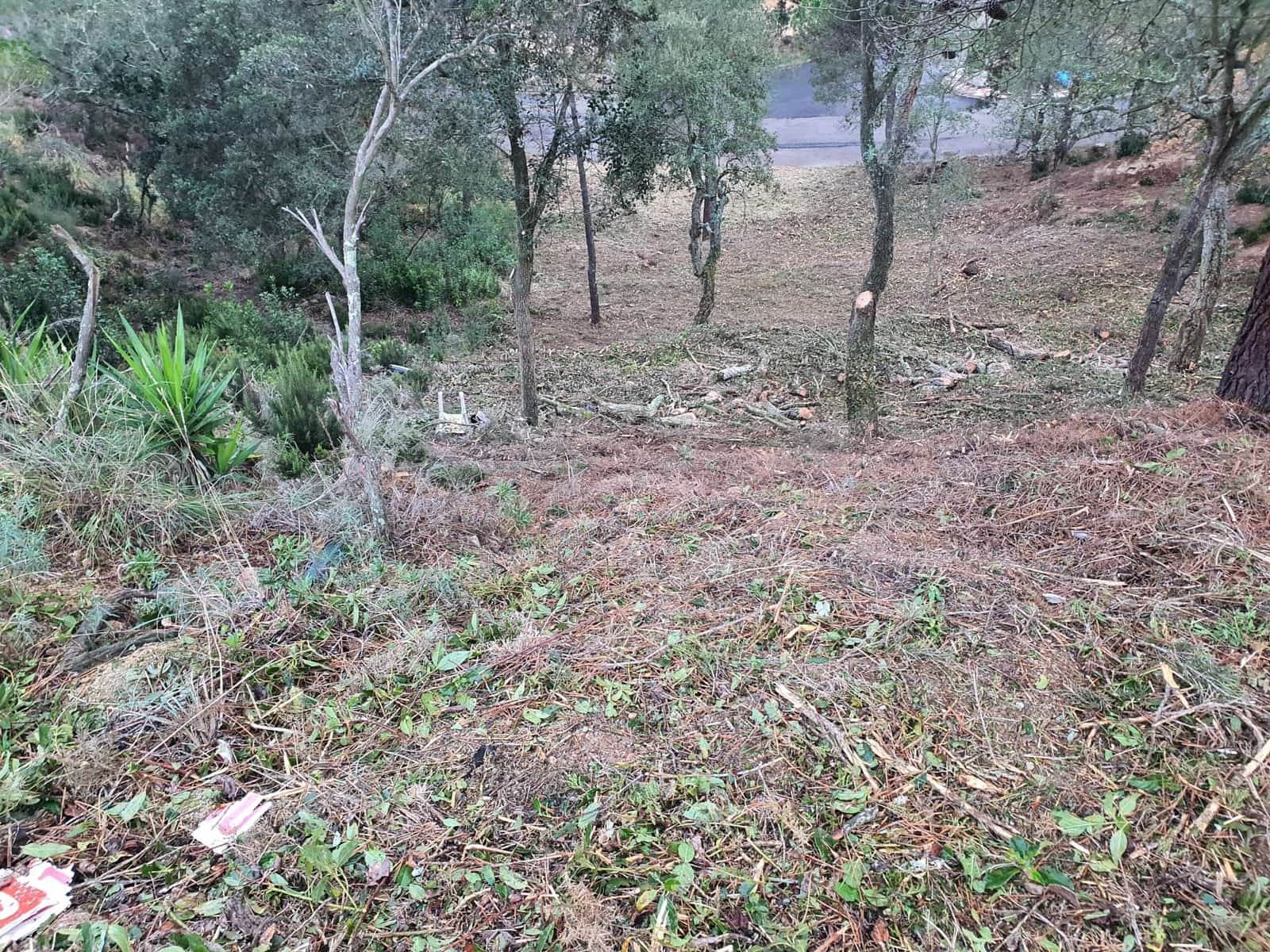 Byggetomt til salgs i Lloret de Mar - € 43 000 (Ref: 9715243)