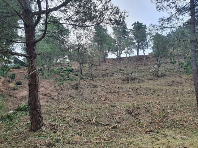 Byggetomt til salgs i Urbanitzacions del Nord, Lloret de Mar - € 43 000 (Ref: 9715243)