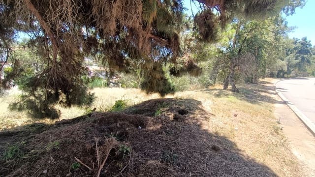 Byggetomt til salgs i Urbanitzacions del Nord, Lloret de Mar - € 85 000 (Ref: 9715244)