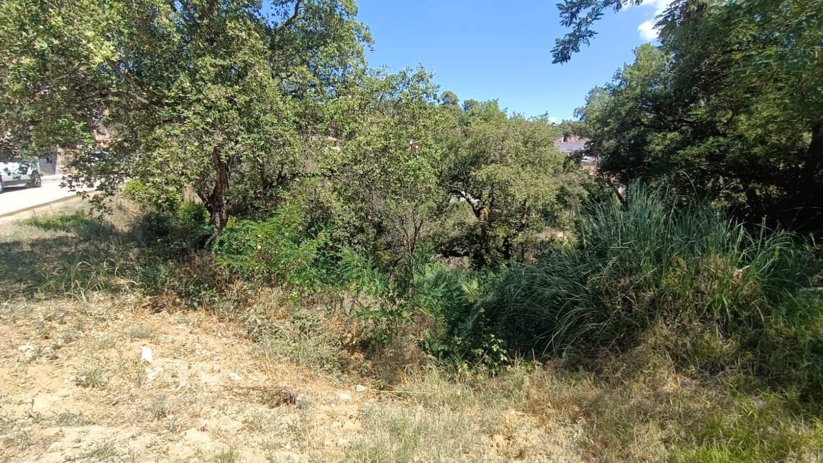 Solar/Parcela en Lloret de Mar en venta - 85.000 € (Ref: 9715244)