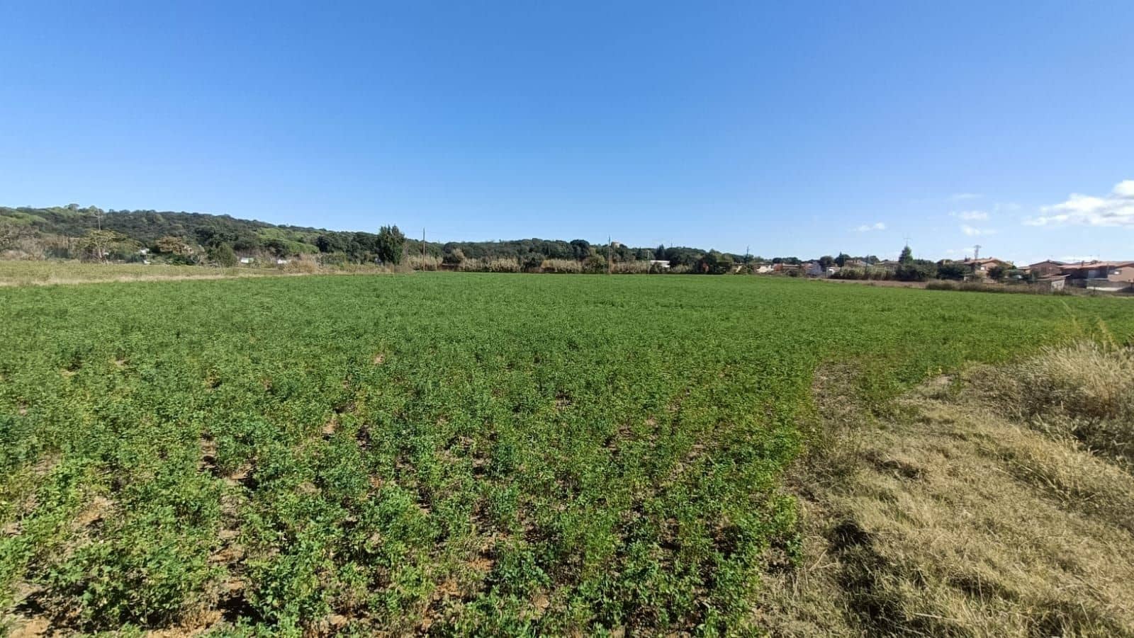 5 bedroom Finca/Country House for sale in Sant Gregori - € 950,000 (Ref: 9715245)