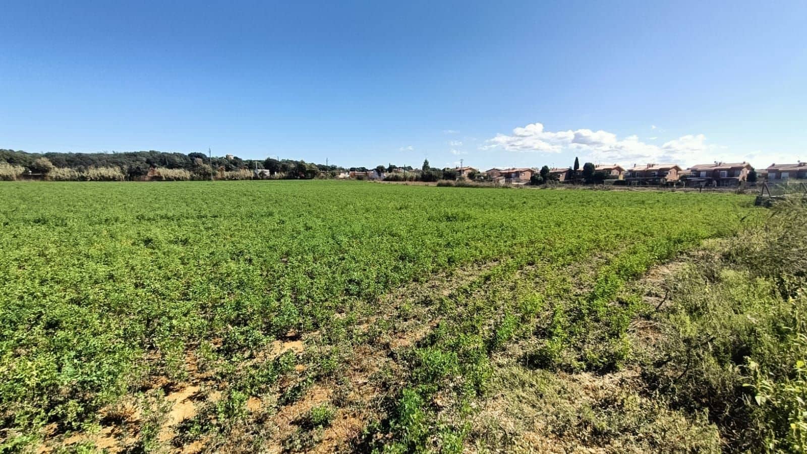 5 bedroom Finca/Country House for sale in Sant Gregori - € 950,000 (Ref: 9715245)