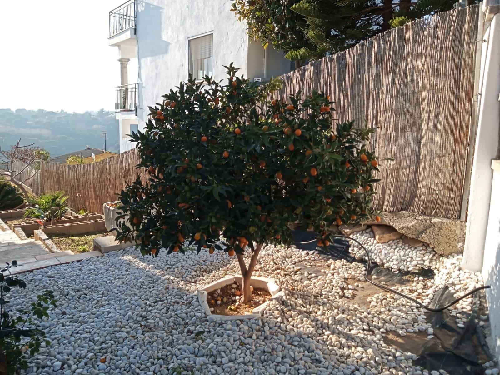 3 bedroom Villa for sale in Lloret de Mar with pool garage - € 380,000 (Ref: 9715246)