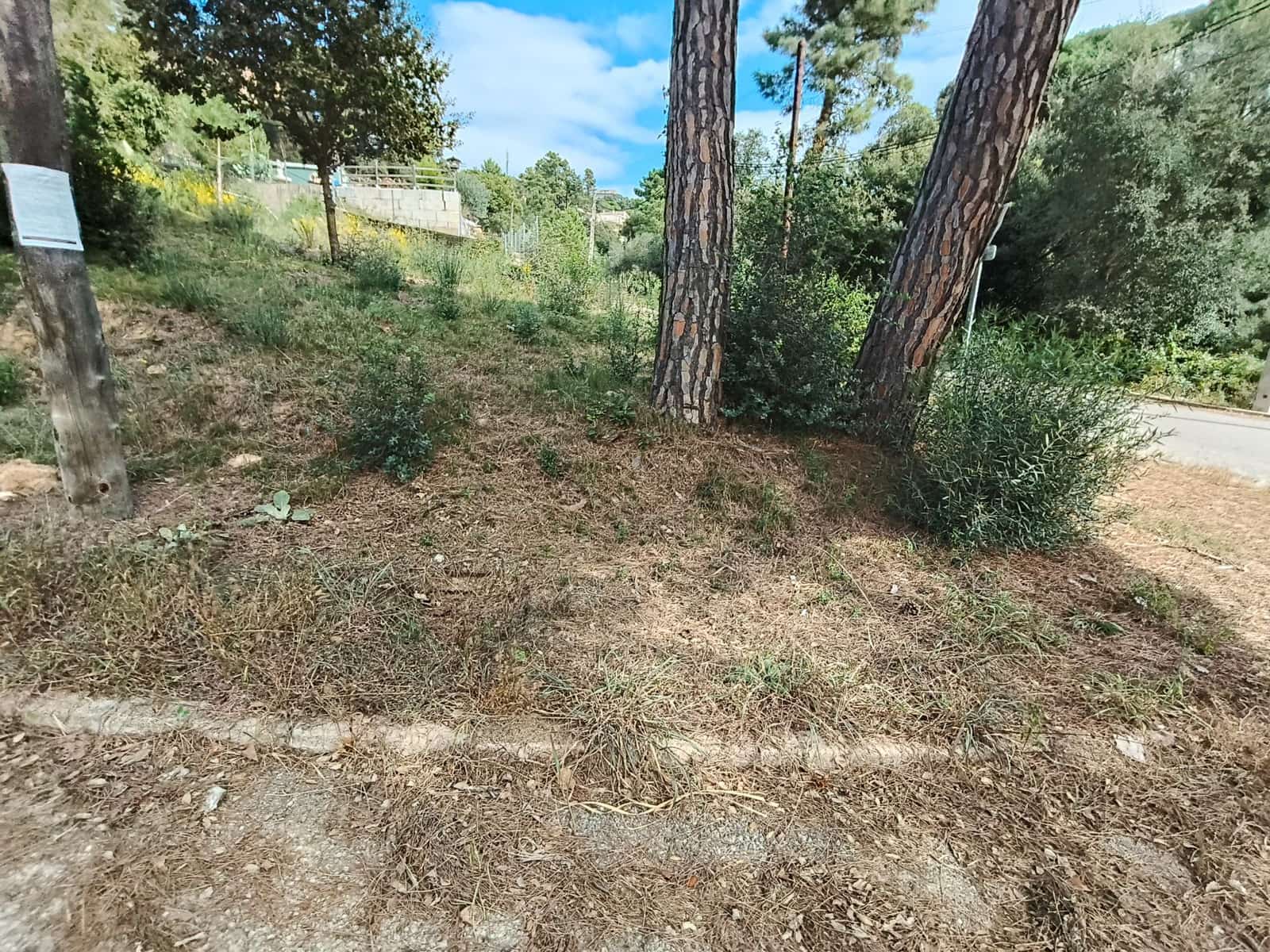 Byggetomt til salgs i Vidreres - € 30 000 (Ref: 9715248)