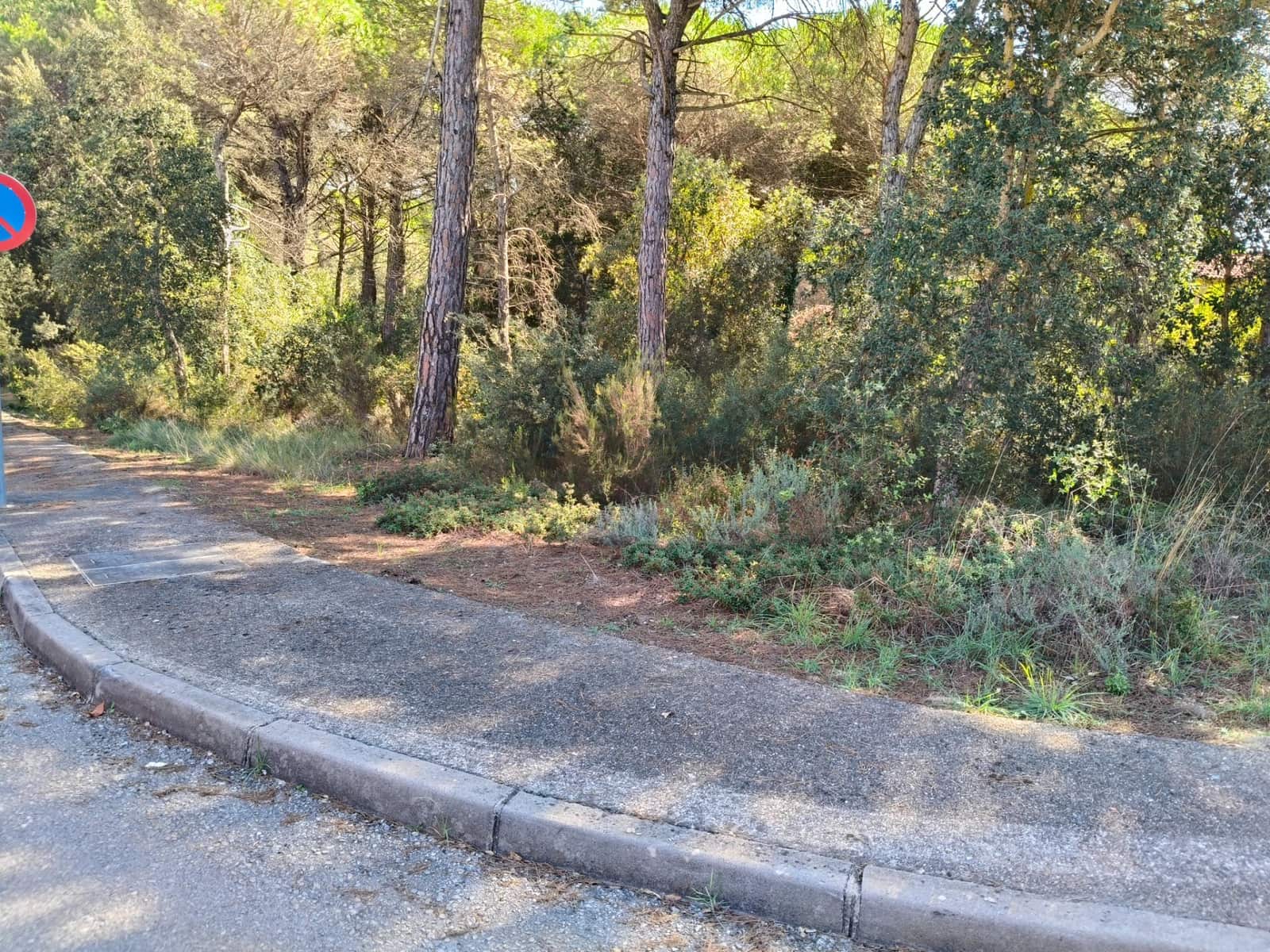 Building Plot for sale in Vidreres - € 42,000 (Ref: 9715251)