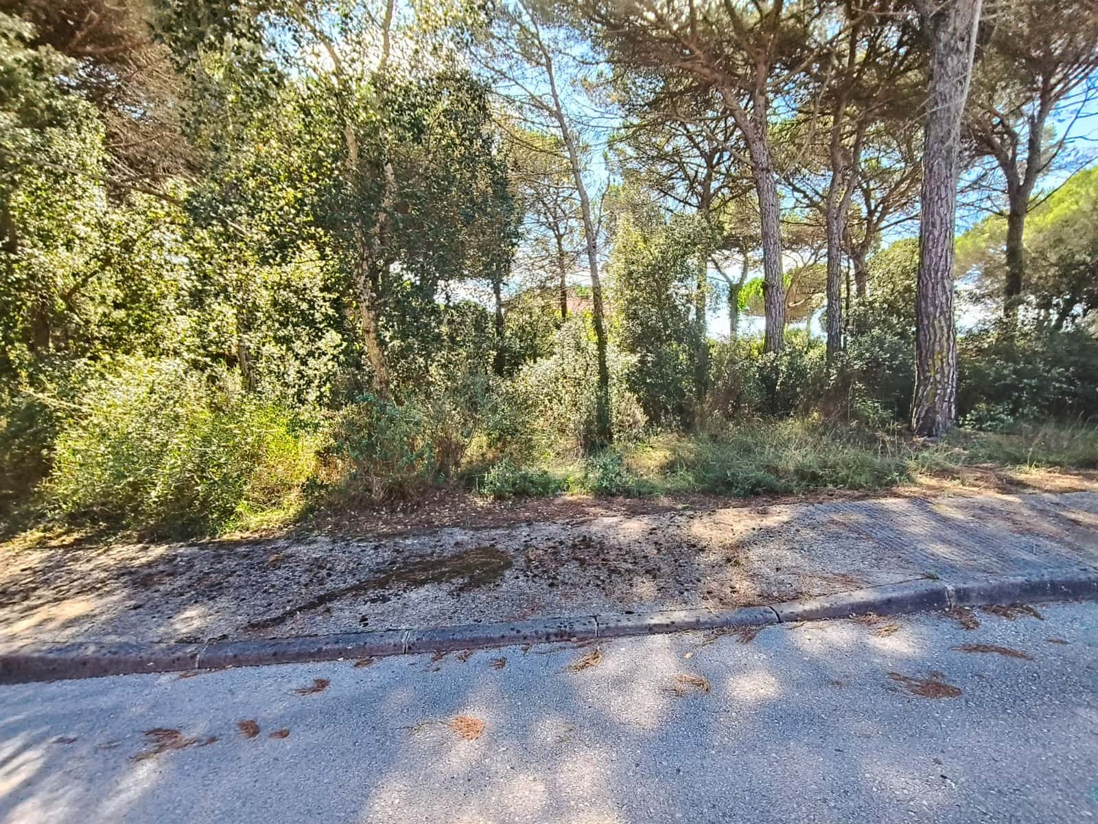 Building Plot for sale in Vidreres - € 42,000 (Ref: 9715251)