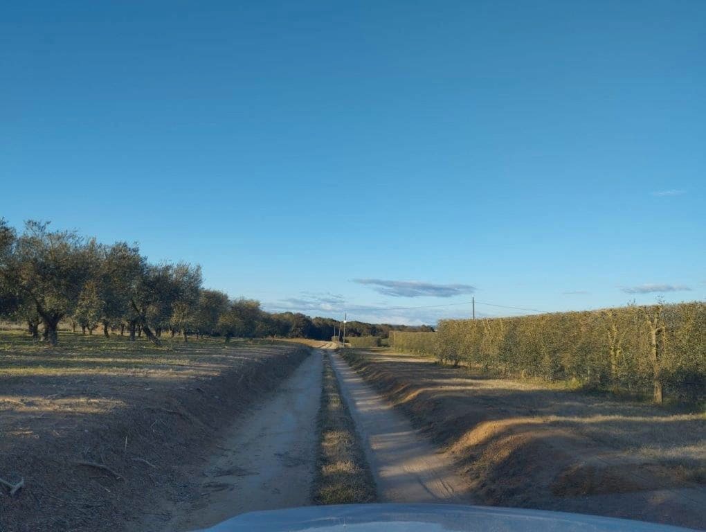 8 chambre Finca/Maison de Campagne à vendre à Llagostera avec garage - 1 070 000 € (Ref: 9715252)