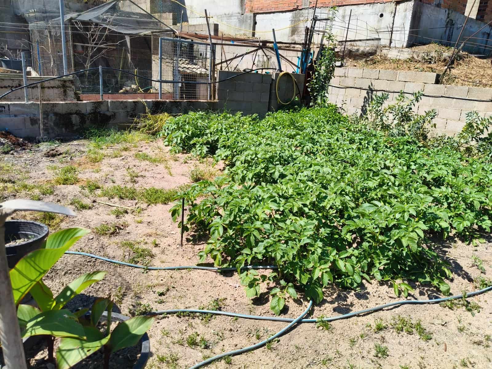 4 bedroom Villa for sale in Lloret de Mar - € 287,000 (Ref: 9715256)