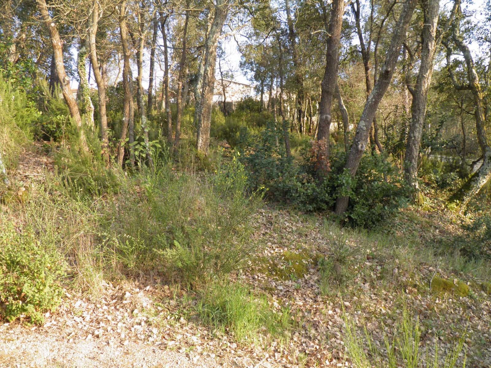 Building Plot for sale in Vidreres - € 75,000 (Ref: 9715265)