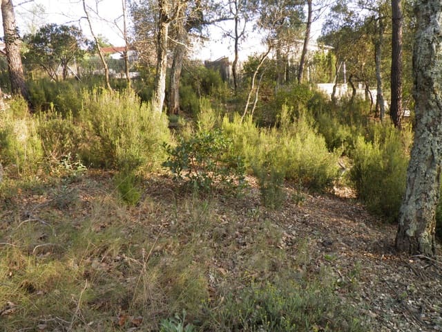 Solar/Parcela en Vidreres en venta - 75.000 € (Ref: 9715265)