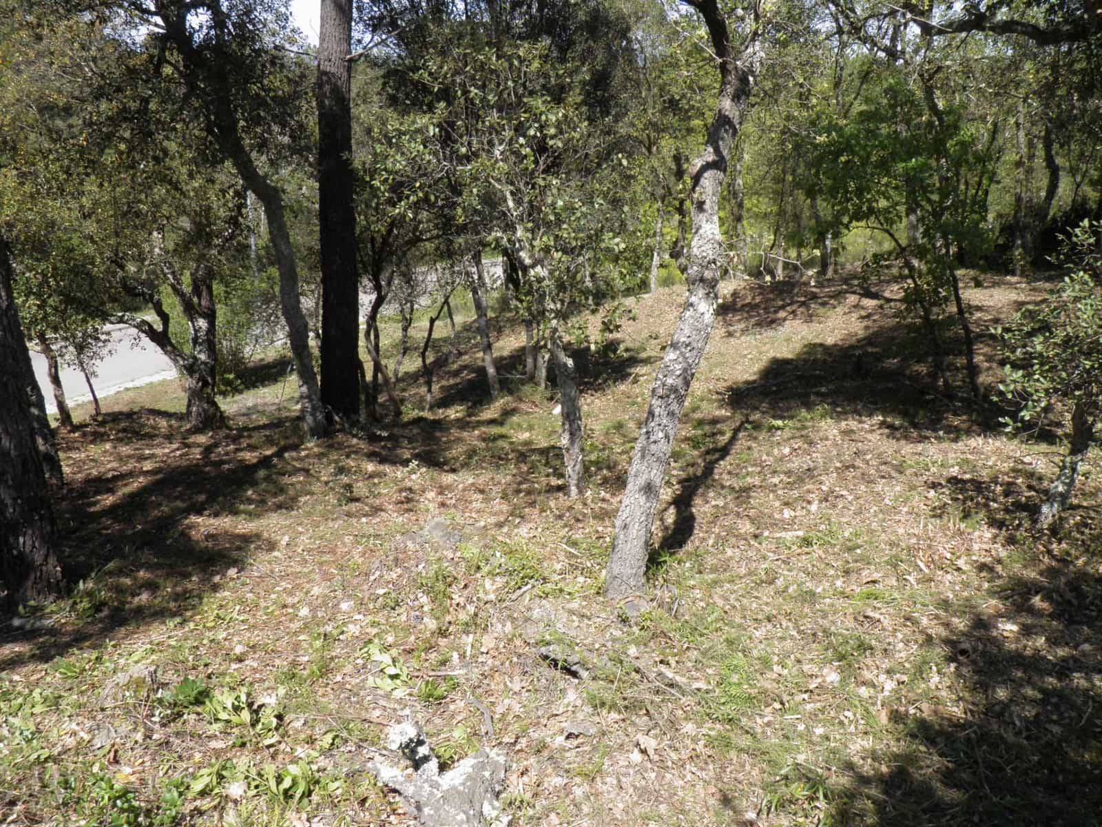 Building Plot for sale in Vidreres - € 75,000 (Ref: 9715265)