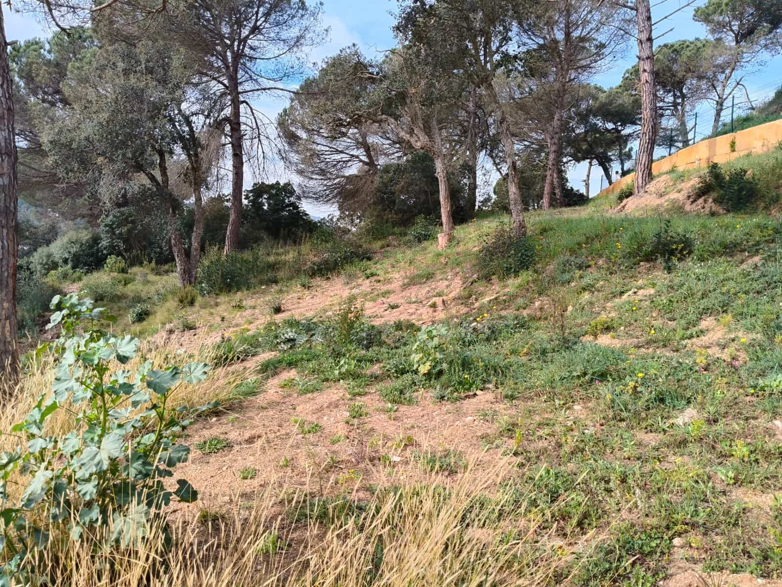 Building Plot for sale in Lloret de Mar - € 45,000 (Ref: 9715266)