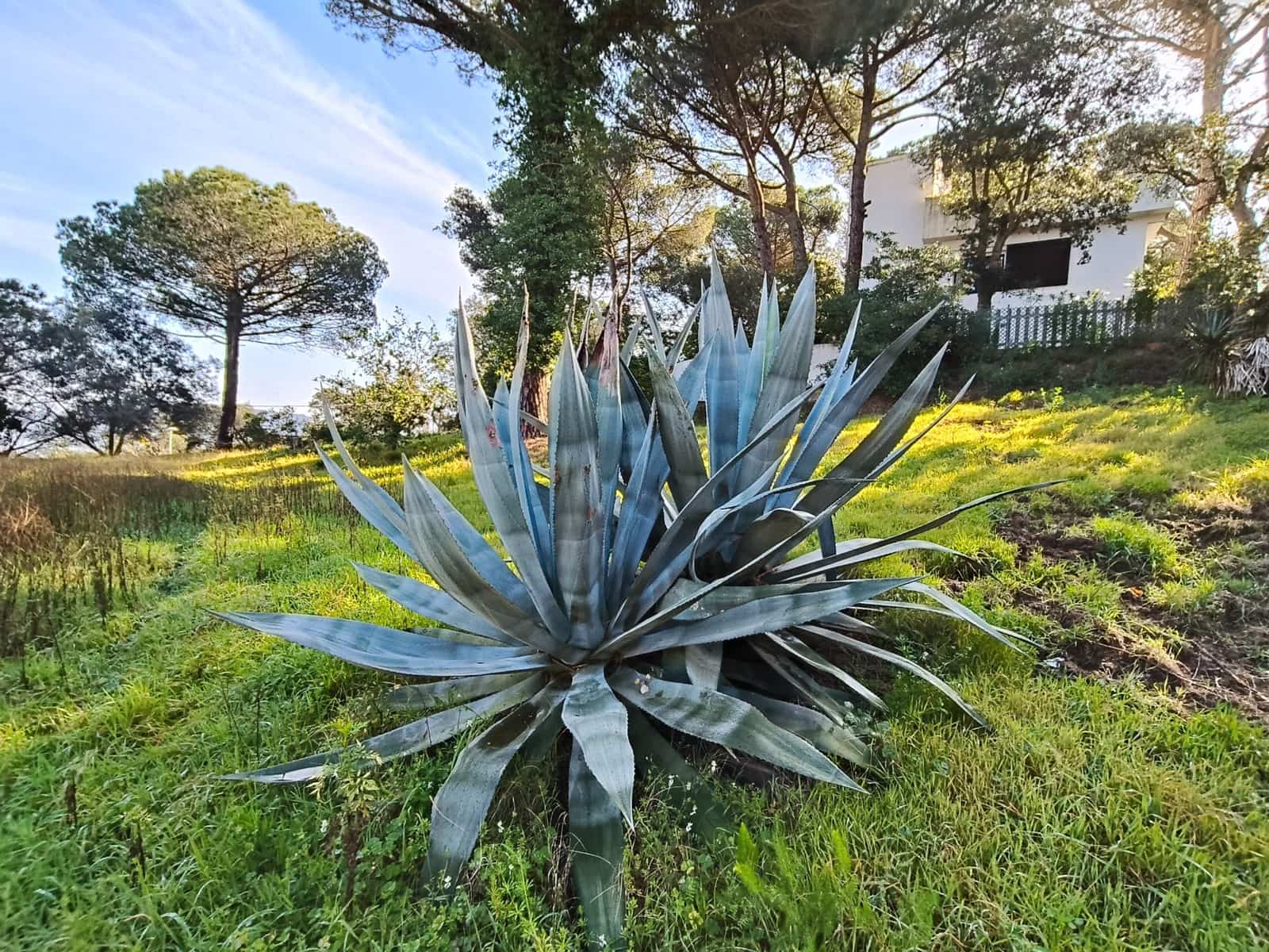 Building Plot for sale in Lloret de Mar - € 50,000 (Ref: 9715268)