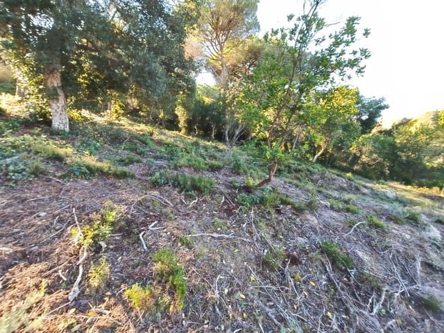 Byggegrund til salg i Urbanitzacions del Nord, Lloret de Mar - € 42.000 (Ref: 9715274)