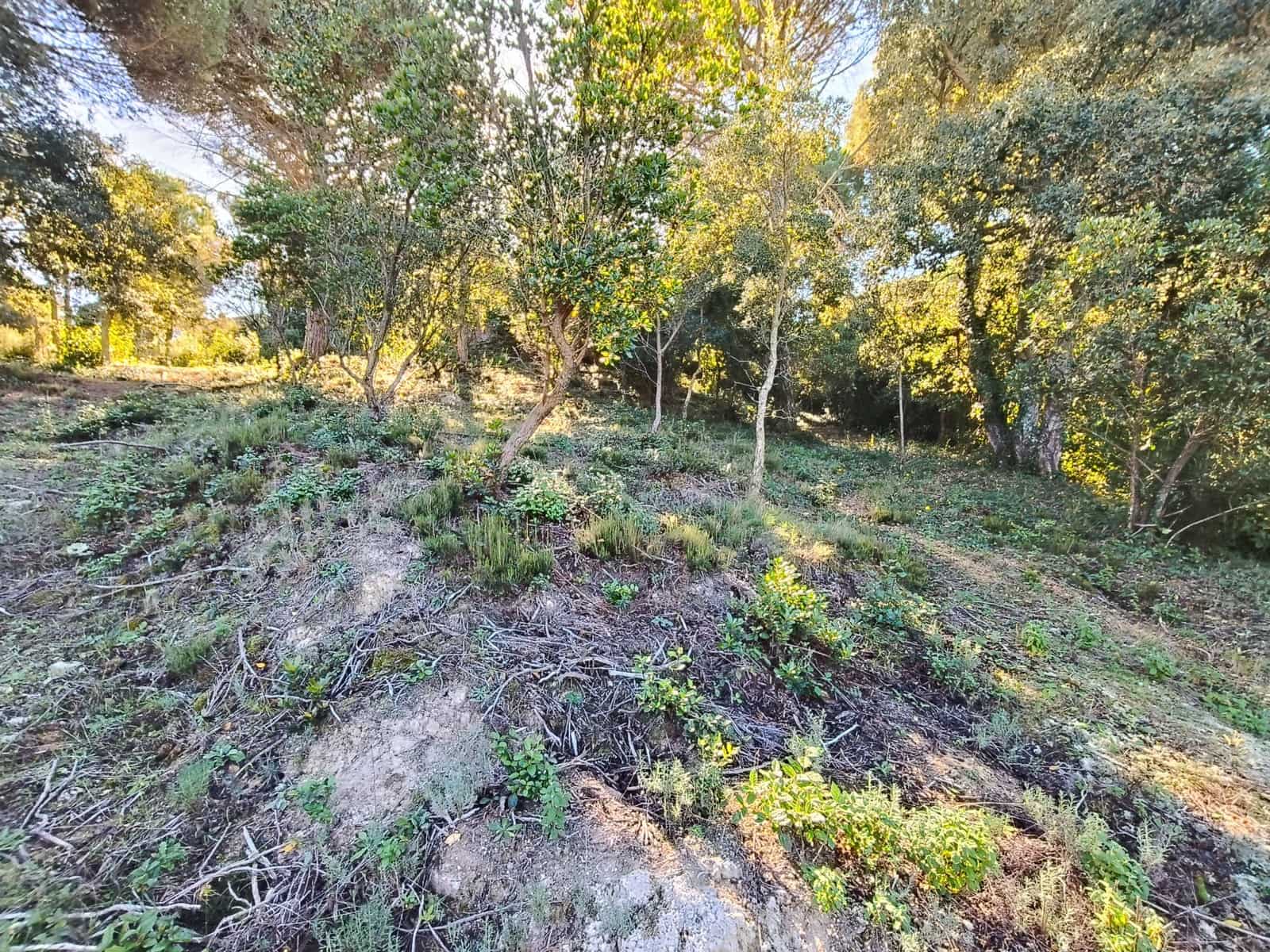 Building Plot for sale in Lloret de Mar - € 42,000 (Ref: 9715274)