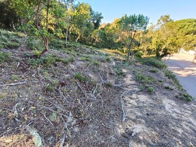 Byggegrund til salg i Urbanitzacions del Nord, Lloret de Mar - € 42.000 (Ref: 9715274)