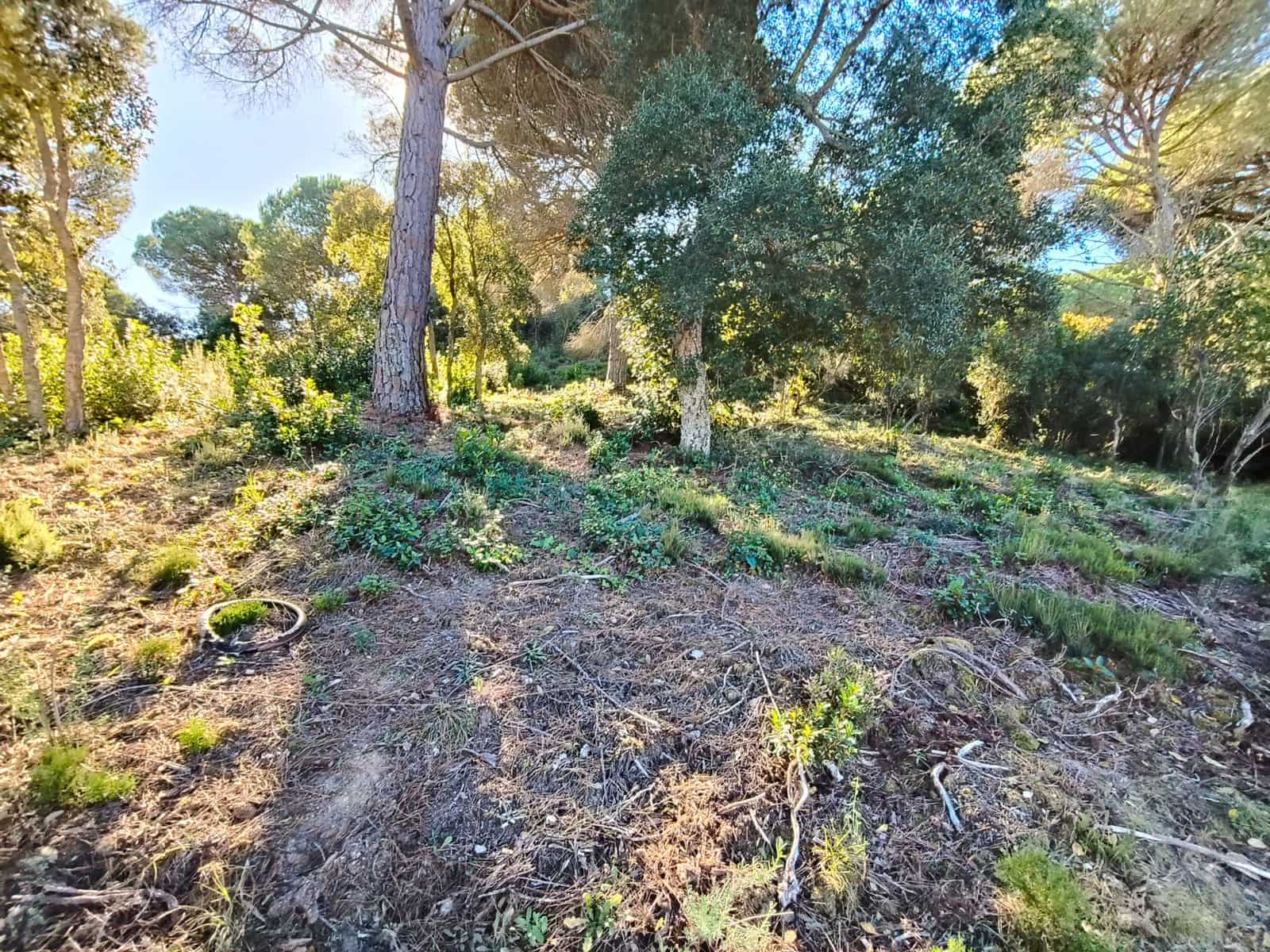 Building Plot for sale in Lloret de Mar - € 42,000 (Ref: 9715274)