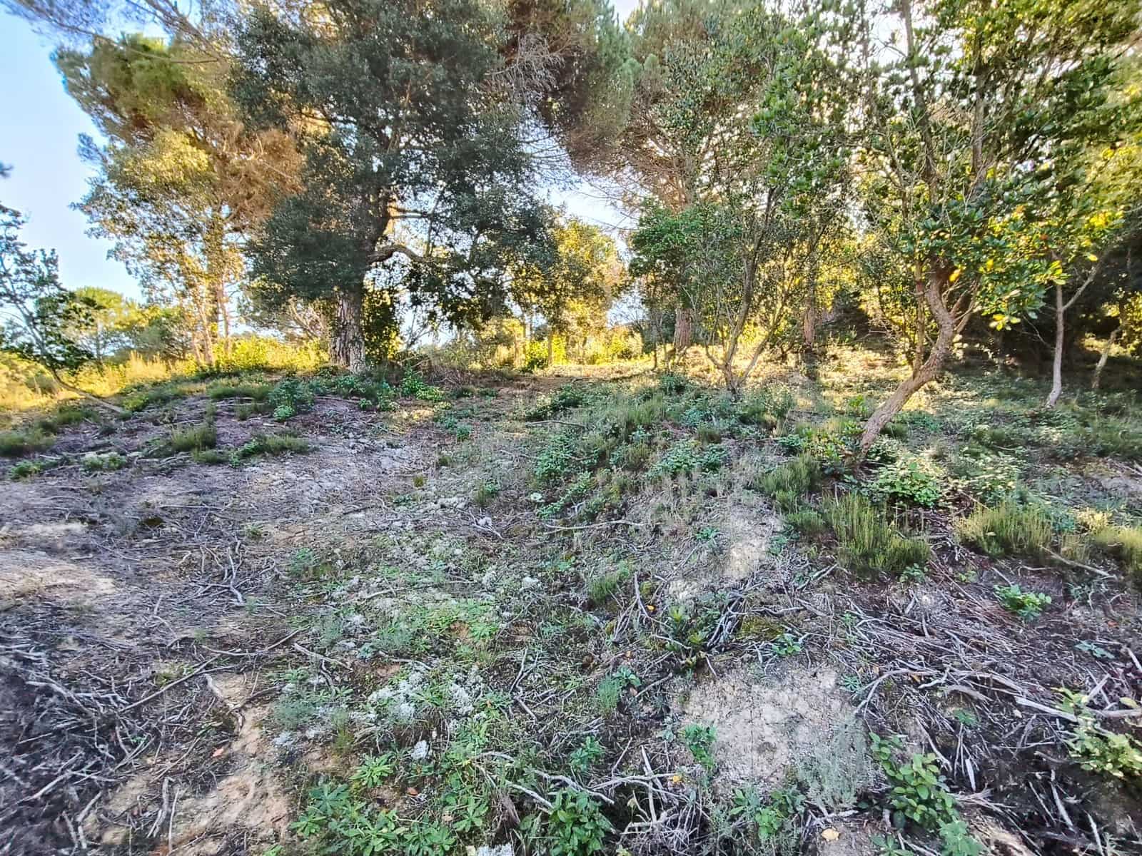 Building Plot for sale in Lloret de Mar - € 42,000 (Ref: 9715274)