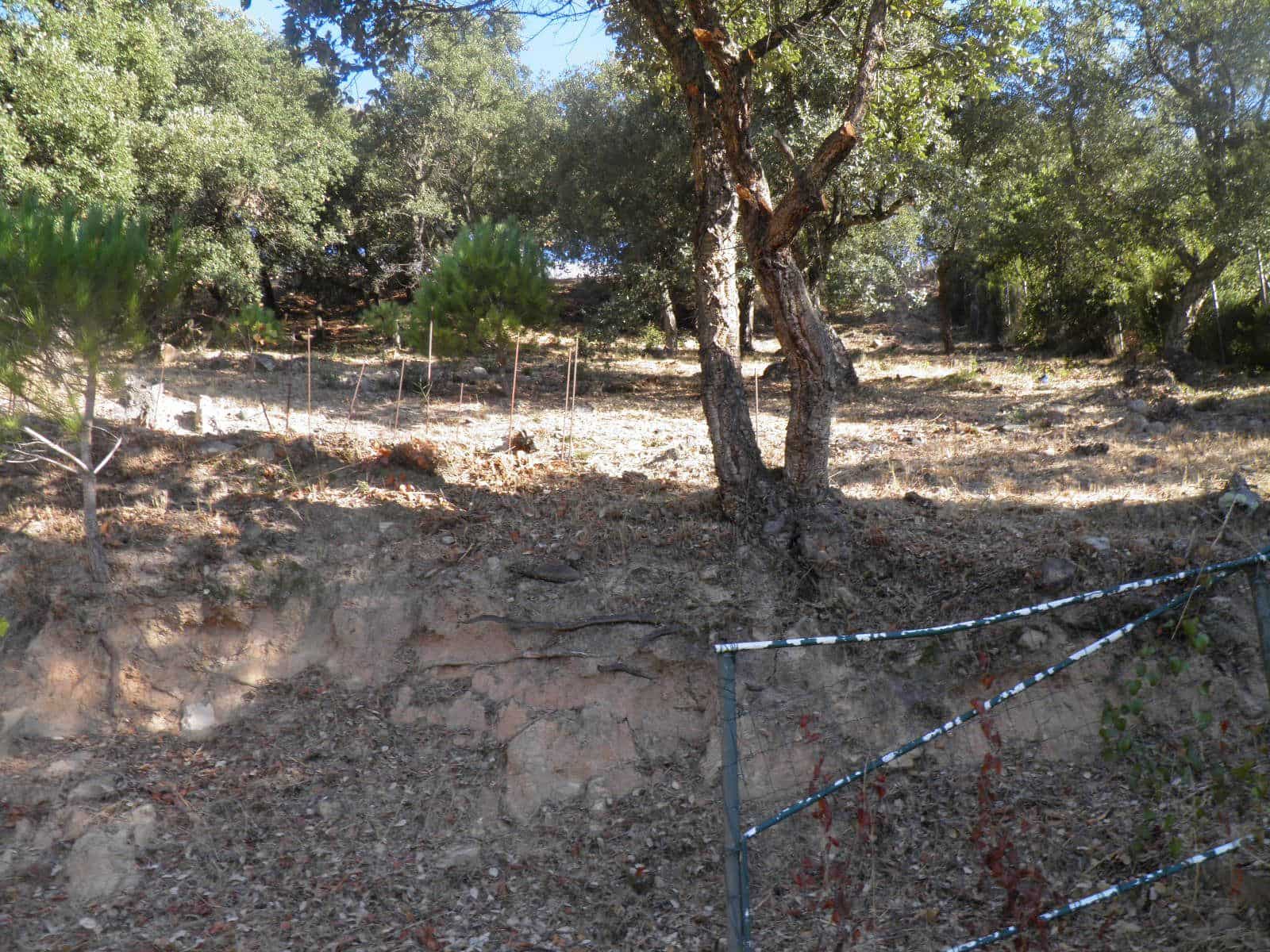 Byggetomt til salgs i Vidreres - € 20 000 (Ref: 9715280)