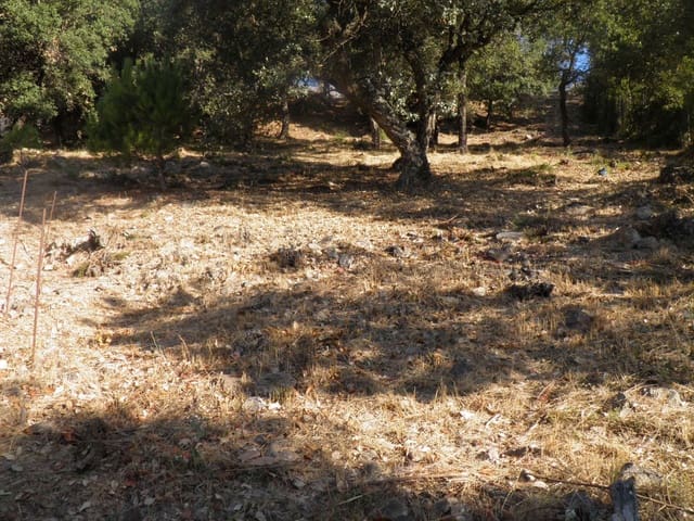 Byggetomt til salgs i Aiguaviva Parc, Vidreres - € 20 000 (Ref: 9715280)