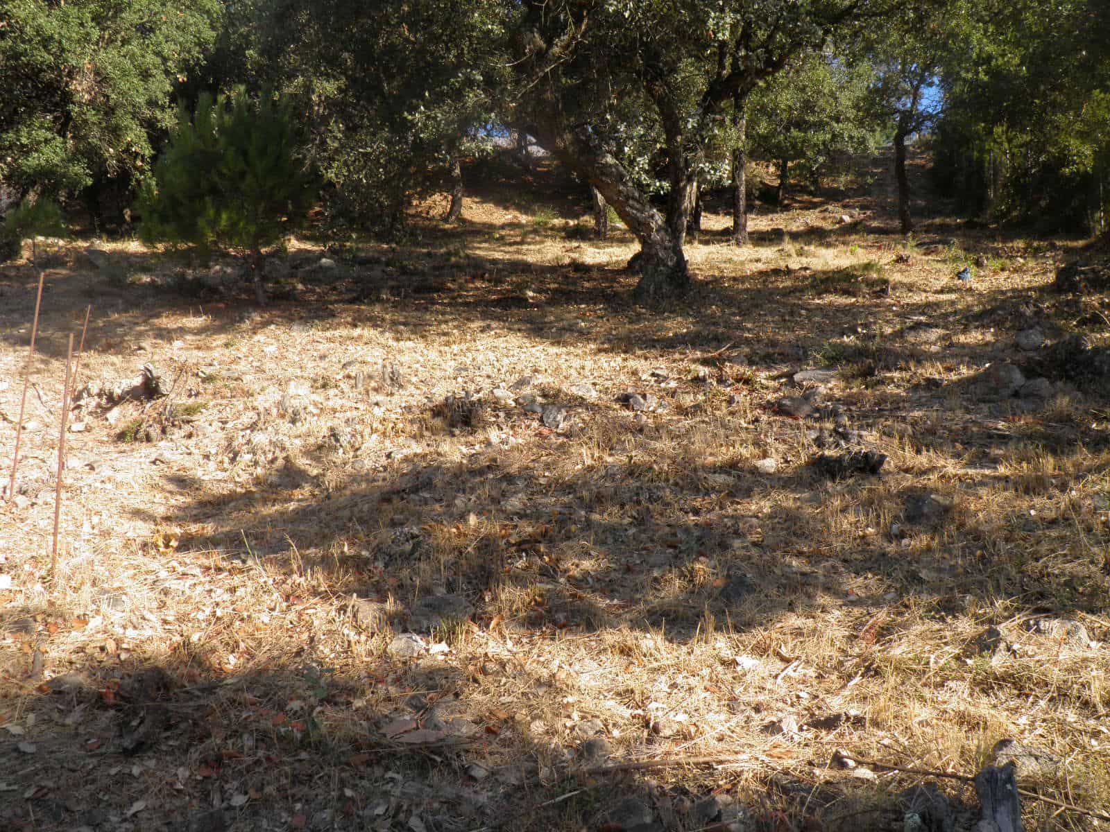 Byggetomt til salgs i Vidreres - € 20 000 (Ref: 9715280)