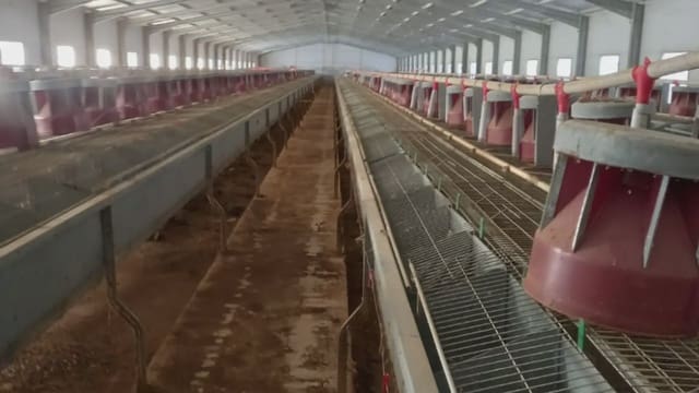 Finca/Landehus til salg i Fuenterrobles - € 255.000 (Ref: 9748313)