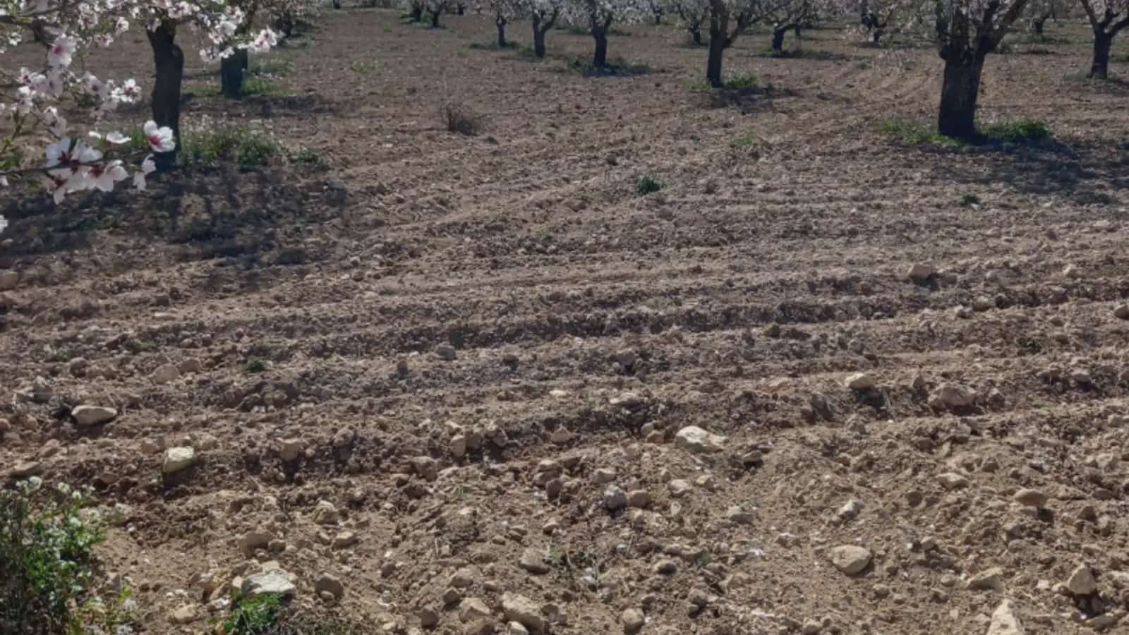 Finca/Landehus til salg i Fuenterrobles - € 255.000 (Ref: 9748313)