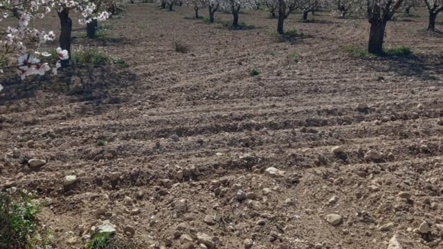 Finca/Landehus til salg i Fuenterrobles - € 255.000 (Ref: 9748313)