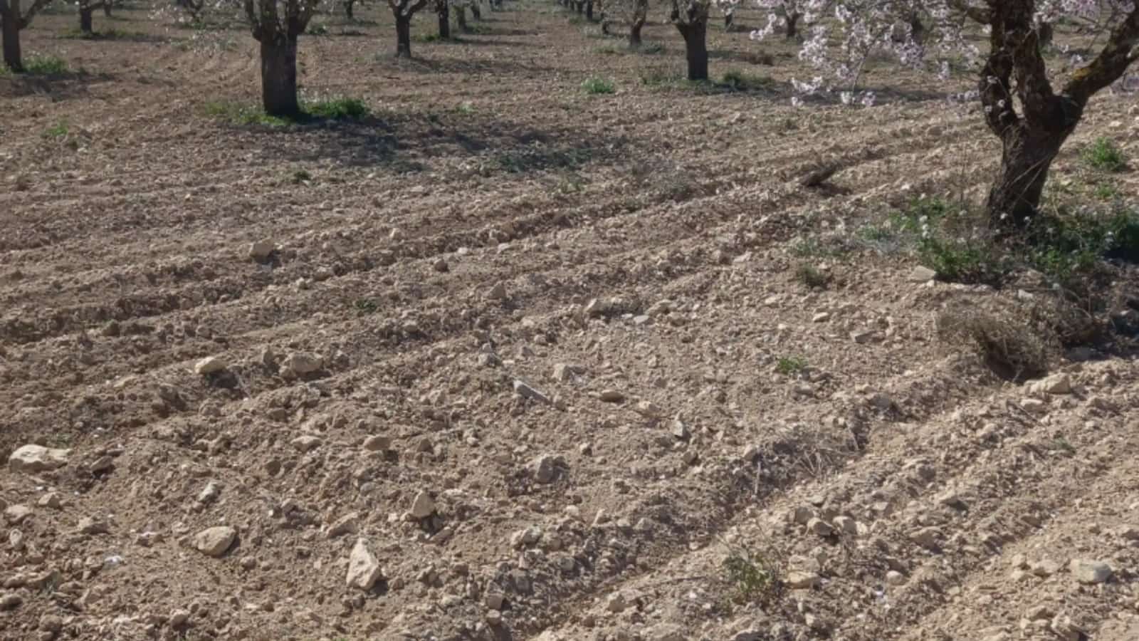 Finca/Landehus til salg i Fuenterrobles - € 255.000 (Ref: 9748313)