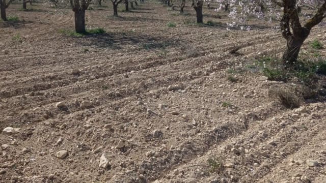 Finca/Landehus til salg i Fuenterrobles - € 255.000 (Ref: 9748313)