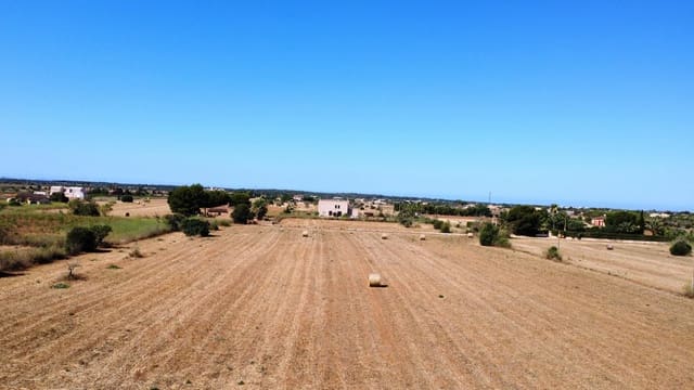 2 chambre Finca/Maison de Campagne à vendre à Campos - 550 000 € (Ref: 9097573)
