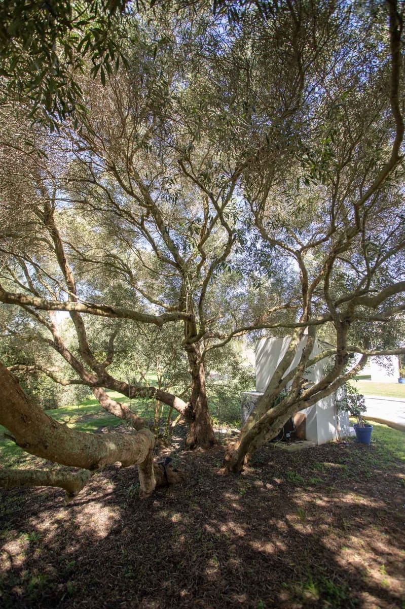 3 quarto Moradia para venda em Chiclana de la Frontera com piscina - 748 000 € (Ref: 8887006)