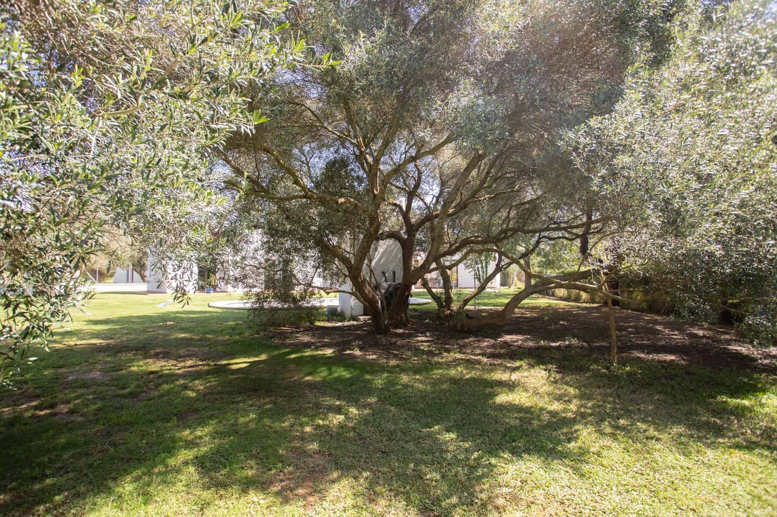 3 quarto Moradia para venda em Chiclana de la Frontera com piscina - 748 000 € (Ref: 8887006)