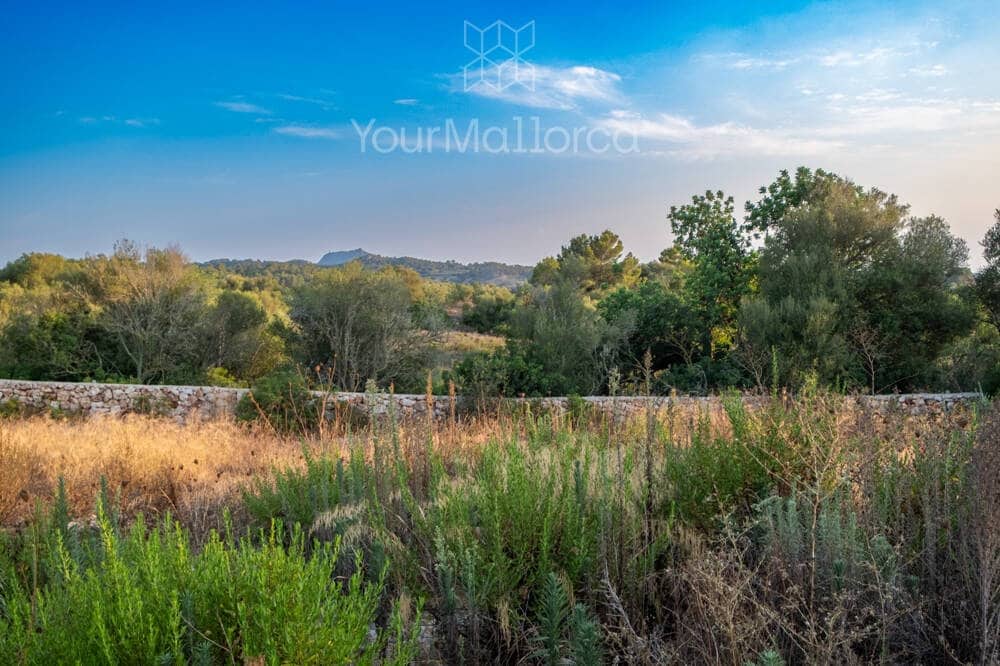 3 slaapkamer Finca/Landhuis te koop in Manacor met zwembad - € 1.790.000 (Ref: 10031019)