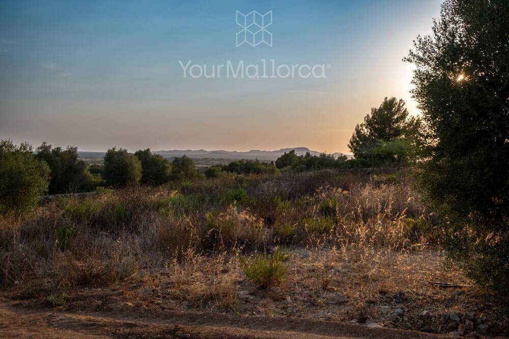 3 slaapkamer Finca/Landhuis te koop in Manacor met zwembad - € 1.790.000 (Ref: 10031019)