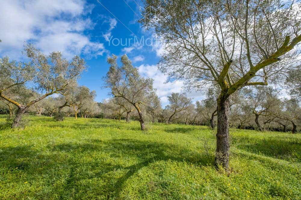 3 slaapkamer Finca/Landhuis te koop in Manacor met zwembad - € 1.790.000 (Ref: 10031019)