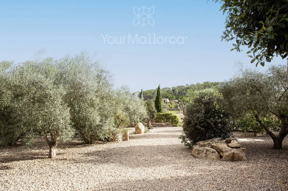 5 slaapkamer Finca/Landhuis te koop in Arta met zwembad garage - € 2.950.000 (Ref: 9009077)