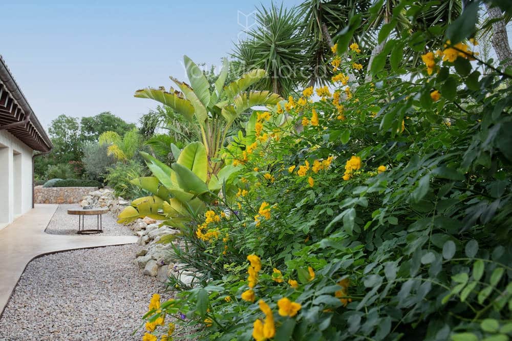 5 slaapkamer Finca/Landhuis te koop in Arta met zwembad garage - € 2.950.000 (Ref: 9009077)