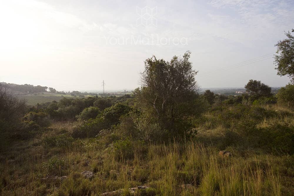 2 sovrum Finca/Hus på landet till salu i Son Carrio - 850 000 € (Ref: 9415112)