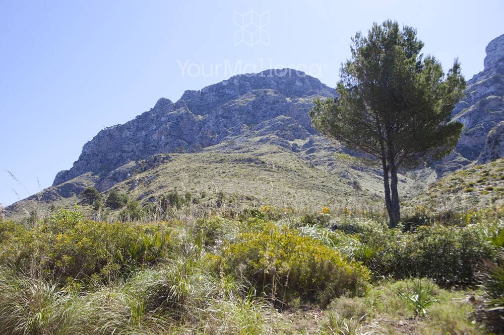 2 bedroom Townhouse for sale in Arta with pool - € 1,190,000 (Ref: 9487201)