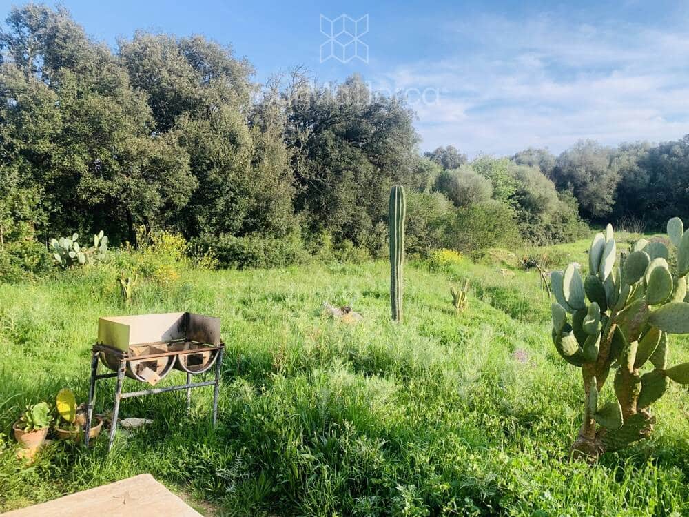 1 chambre Finca/Maison de Campagne à vendre à Arta - 255 000 € (Ref: 9727091)