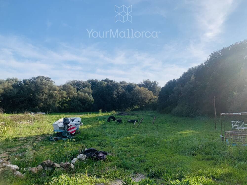 1 chambre Finca/Maison de Campagne à vendre à Arta - 255 000 € (Ref: 9727091)