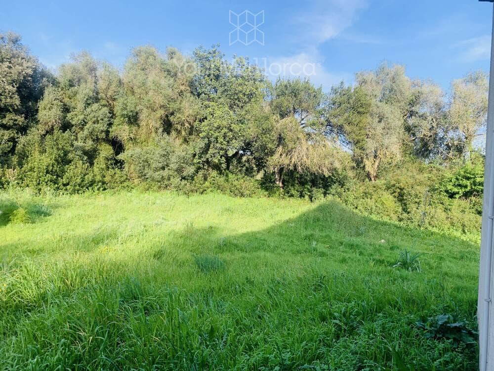 1 chambre Finca/Maison de Campagne à vendre à Arta - 255 000 € (Ref: 9727091)