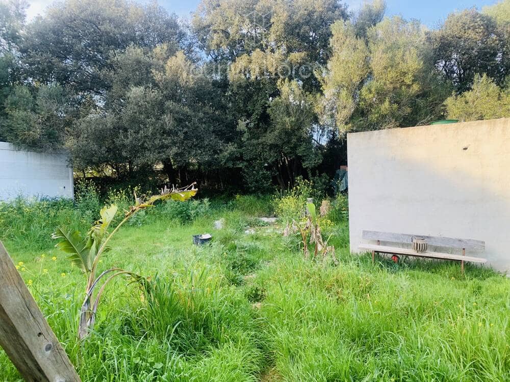 1 chambre Finca/Maison de Campagne à vendre à Arta - 255 000 € (Ref: 9727091)