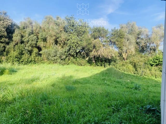 1 chambre Finca/Maison de Campagne à vendre à Artà - 255 000 € (Ref: 9727091)