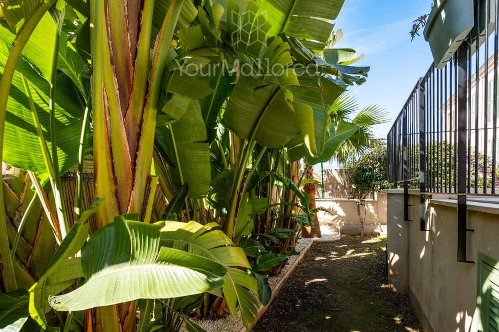 4 soveværelse Byhus til salg i Sa Cabaneta / La Cabaneta med swimmingpool garage - € 849.000 (Ref: 9797464)