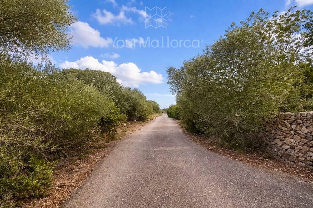 3 bedroom Finca/Country House for sale in Ses Salines with pool - € 2,400,000 (Ref: 9803807)