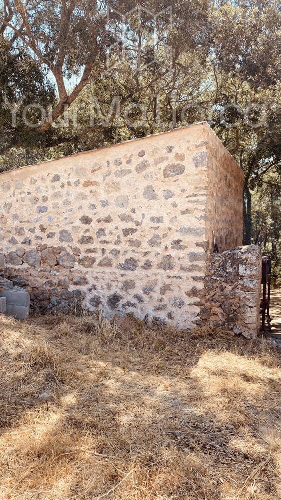 3 bedroom Finca/Country House for sale in Arta - € 785,000 (Ref: 9999036)